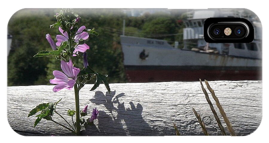 Flowers iPhone X Case featuring the photograph Life in the Boatyard by Laura Wong-Rose