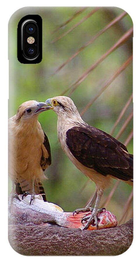 Love iPhone X Case featuring the mixed media Life Mates by Alicia Kent