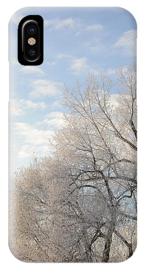 Frost iPhone X Case featuring the photograph Lifting Fog by Ellery Russell