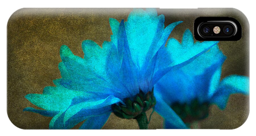 Blue iPhone X Case featuring the photograph Light Blue by Linda Segerson