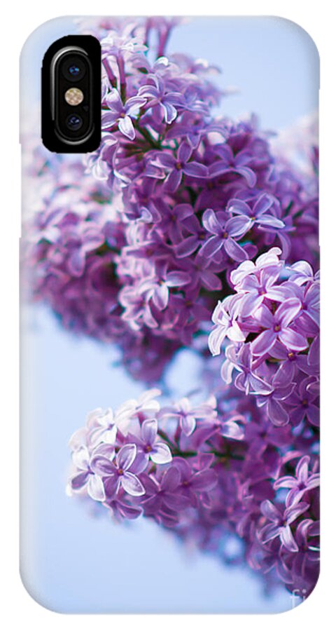 Lilac iPhone X Case featuring the photograph Lilac by Sergey Simanovsky