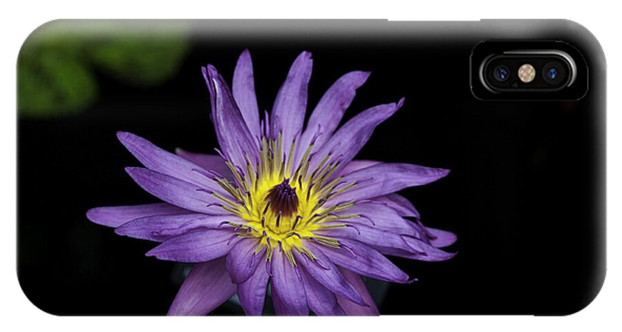 Close-ups iPhone X Case featuring the photograph Lilly Glow by Donald Brown