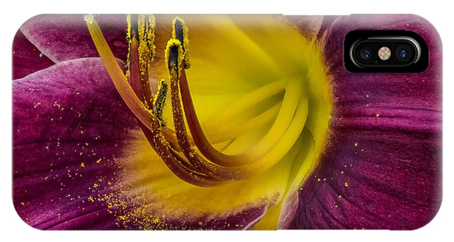 Bloom iPhone X Case featuring the photograph Lily Macro by Paul Freidlund