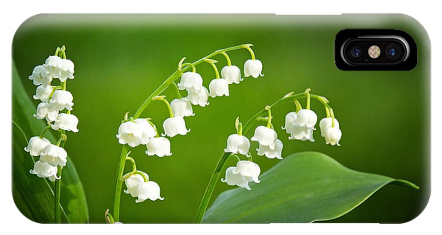 Lily Of The Valley iPhone X Case featuring the photograph Lily of the Valley #2 by Carolyn Derstine