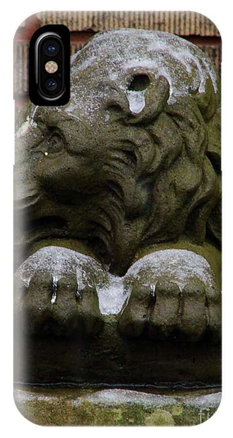Lion iPhone X Case featuring the photograph Lion In Winter by Mark Holbrook