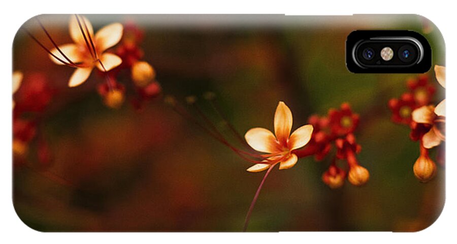 Flowers iPhone X Case featuring the photograph Little Red Flowers by Bradley R Youngberg