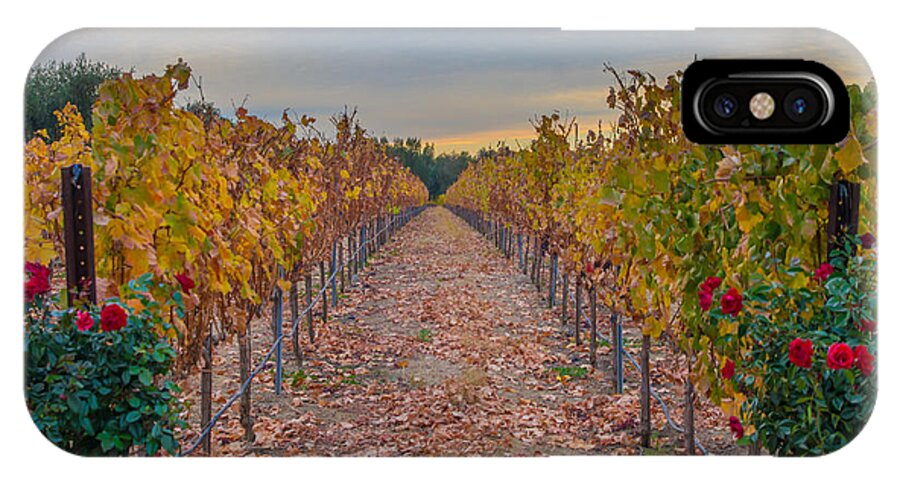 Landscape iPhone X Case featuring the photograph Livermore Vineyard by Marc Crumpler