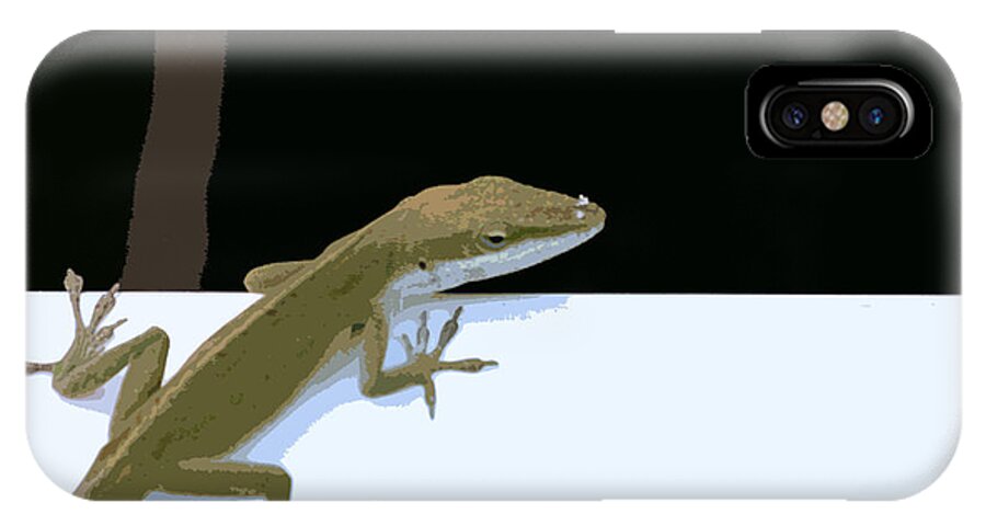 Lizard iPhone X Case featuring the photograph Lizard by Carol McCarty