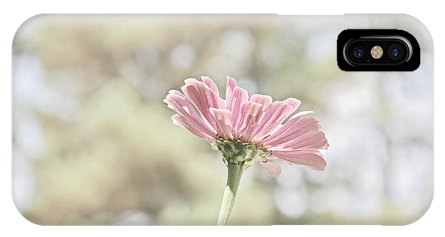 Zinnia iPhone X Case featuring the photograph Lone Zinnia by Jeanne May