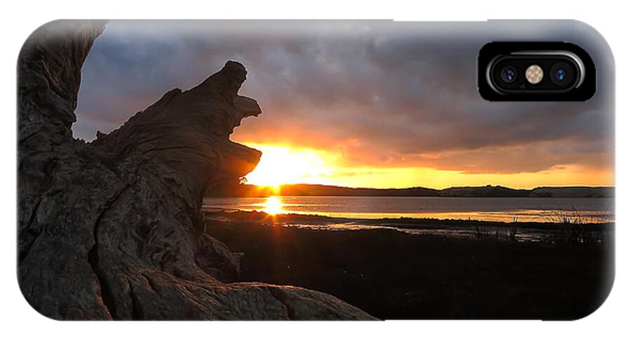 Los Osos iPhone X Case featuring the photograph Los Osos Driftwood by Paul Foutz