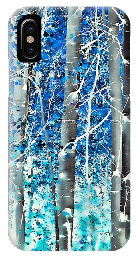 Aspens iPhone X Case featuring the photograph Lost in a Dream by Don Schwartz