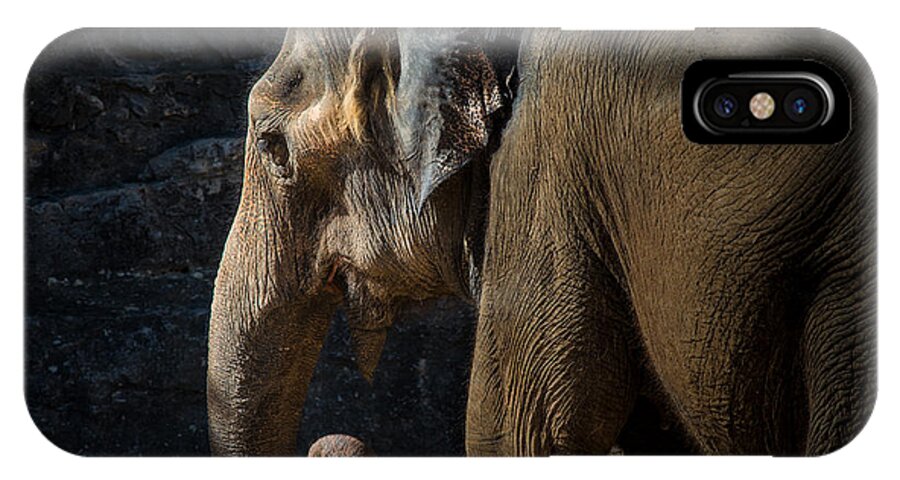 Lucky iPhone X Case featuring the photograph Lucky the Elephant by Richard Mason