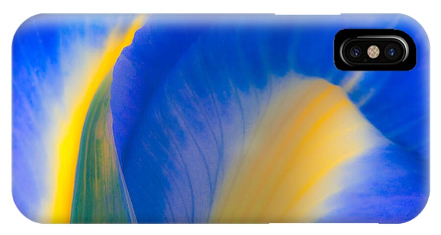 Flowers iPhone X Case featuring the photograph Luminous by Joan Herwig