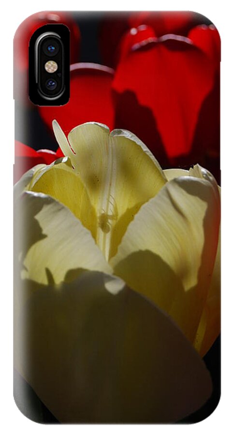 Red Tulips iPhone X Case featuring the photograph Lurking Shadow by Jani Freimann