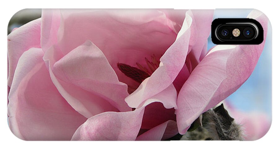 Flower iPhone X Case featuring the photograph Magnolia in Spring by Jola Martysz