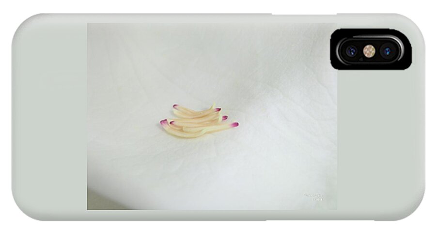 Flower Photograph iPhone X Case featuring the photograph Magnolia Matches 2 by Michele Penn