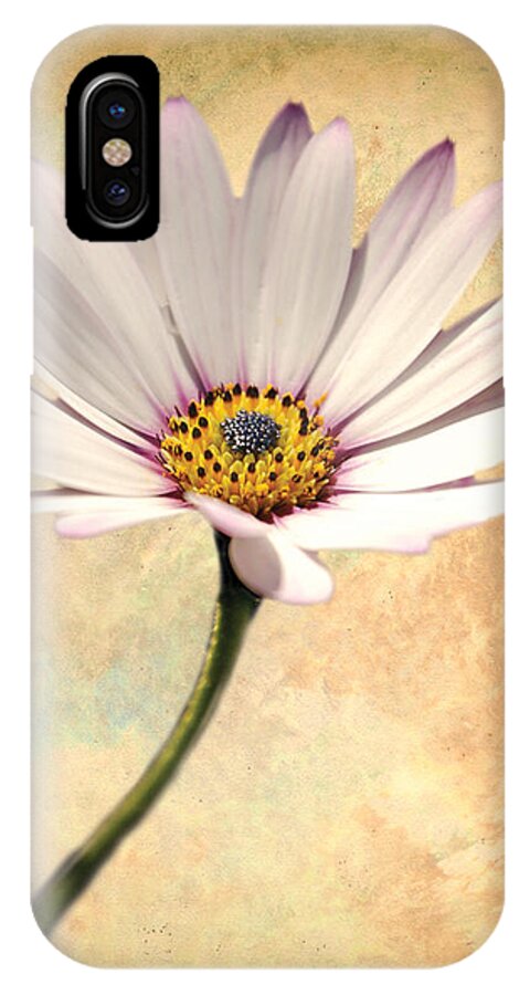 Flower Image Print iPhone X Case featuring the digital art Maisy Daisy by David Davies