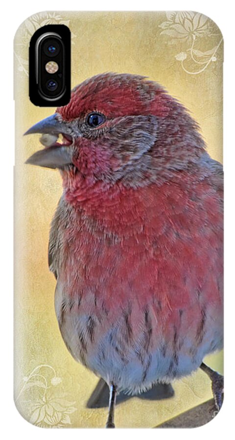 Nature iPhone X Case featuring the photograph Male housefinch with corner decorations by Debbie Portwood