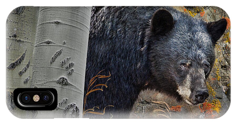 Bear iPhone X Case featuring the photograph Mama Bear by Ed Hall