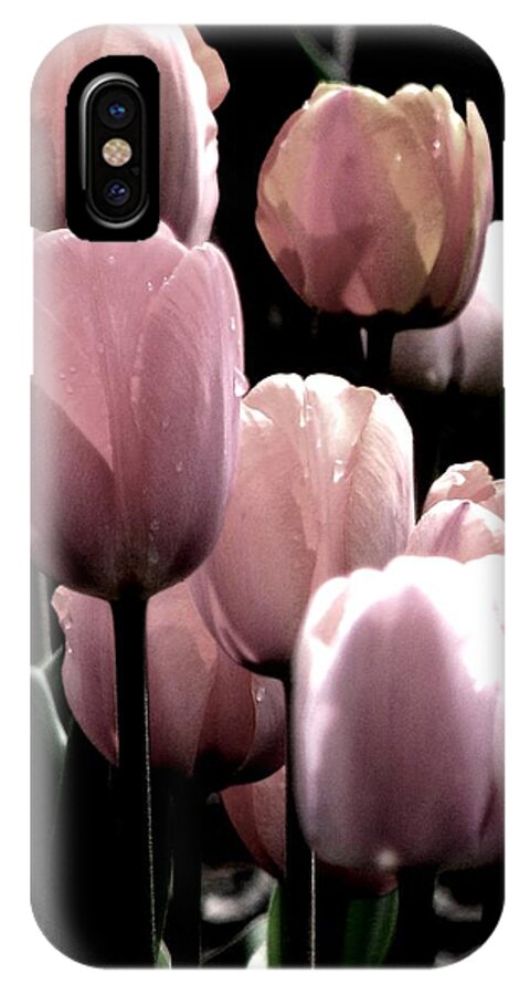 Pink Tulips iPhone X Case featuring the photograph Mauve In The Morning by Angela Davies