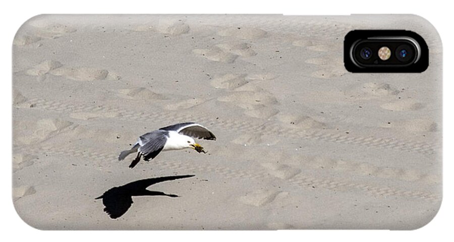 Birds Animals Wildlife Seagull iPhone X Case featuring the photograph Me and my shadow by Paul Ross