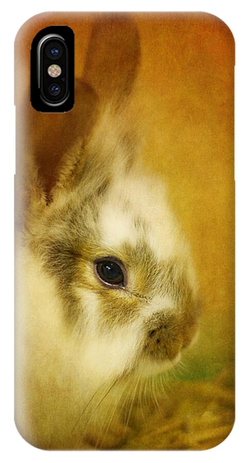 Rabbit iPhone X Case featuring the photograph Memories of Watership Down by Lois Bryan