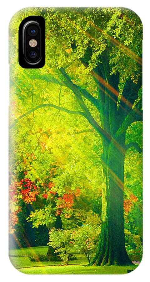 Memphis iPhone X Case featuring the photograph Memphis Morning by Kathy Besthorn