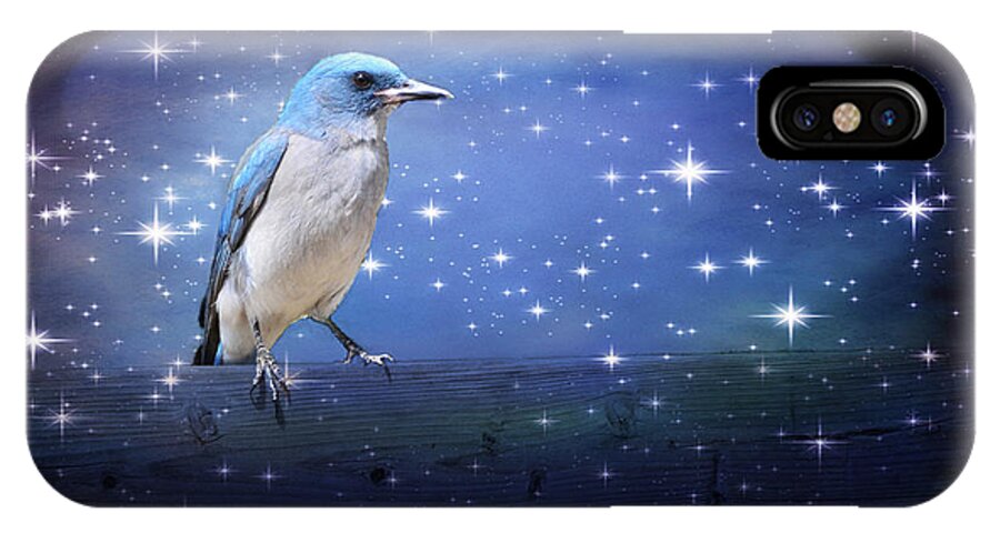 Birds iPhone X Case featuring the photograph Mexican Blue Jay by Barbara Manis