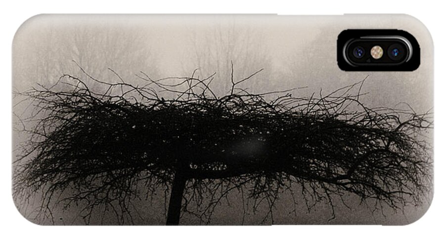 Britain iPhone X Case featuring the photograph Middlethorpe Tree In Fog Sepia - Award Winning Photograph by Tony Grider