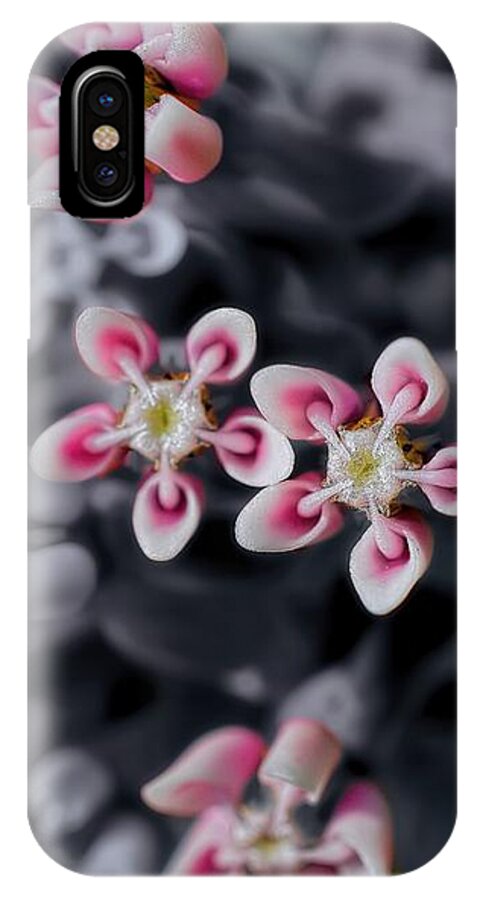 Milkweed iPhone X Case featuring the photograph Milkweed Snowflakes by Henry Kowalski