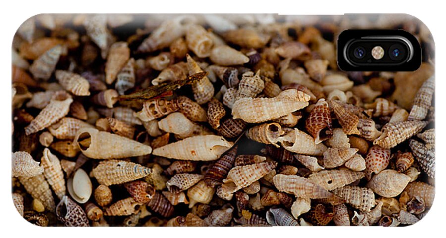 Coral iPhone X Case featuring the photograph Million Shells by Carole Hinding