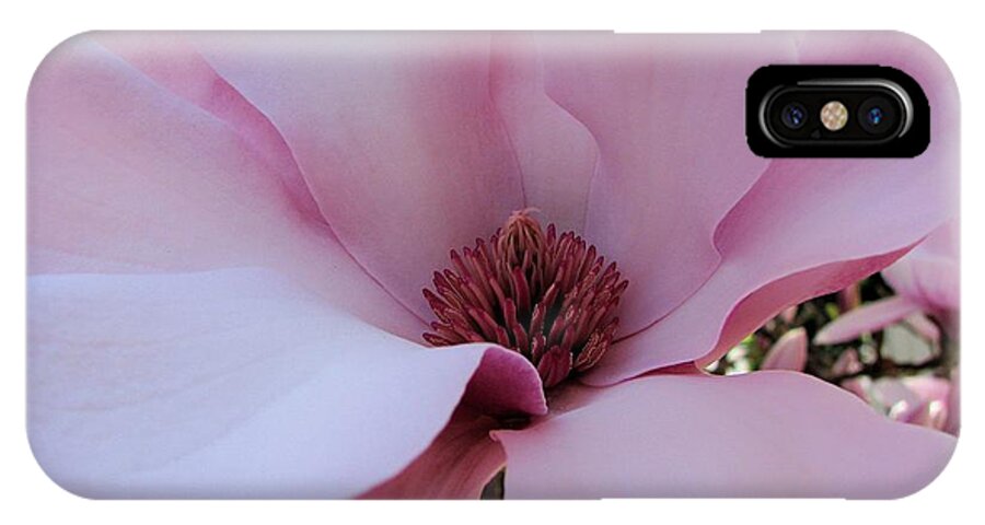 Magnolia iPhone X Case featuring the photograph Miss Magnolia by Lora Fisher