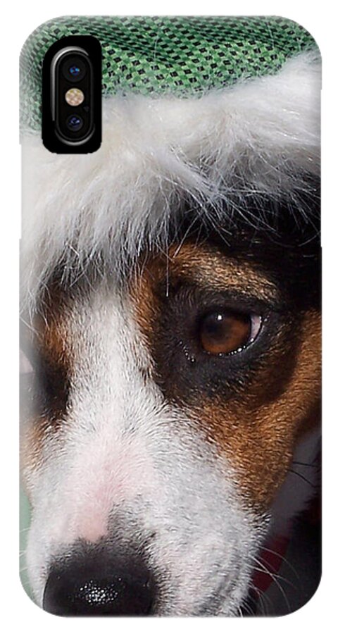 Dog iPhone X Case featuring the photograph Mojo's New Holiday Coat by Claudia Goodell