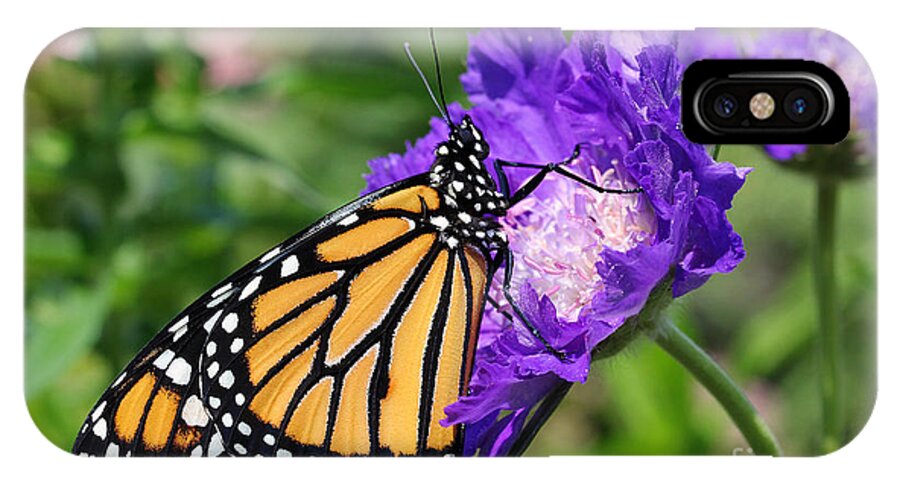 Monarch iPhone X Case featuring the photograph Monarch and Pincushion Flower by Steve Augustin