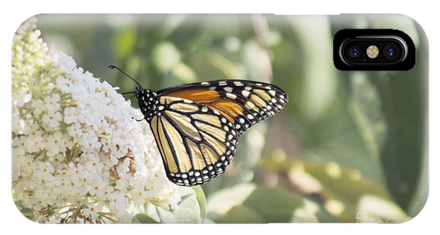 Monarch iPhone X Case featuring the photograph Monarch on buddleia by Cindy Garber Iverson