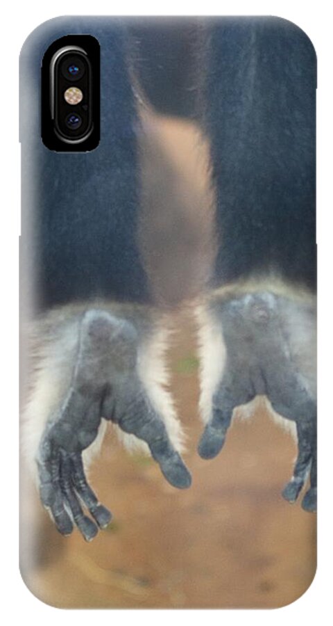 Monkey iPhone X Case featuring the photograph Monkeying Around by Christy Pooschke