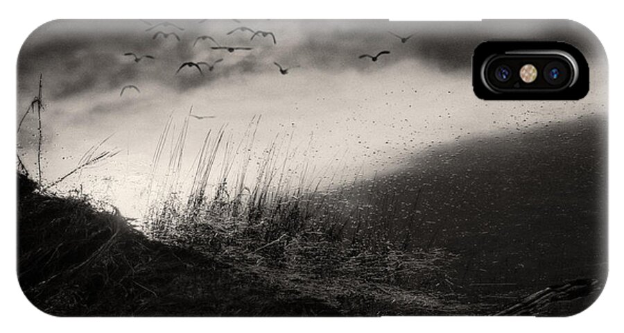 Britannia Shipyard Vancouver iPhone X Case featuring the photograph Moody sunrise with grasses and birds by Peter V Quenter