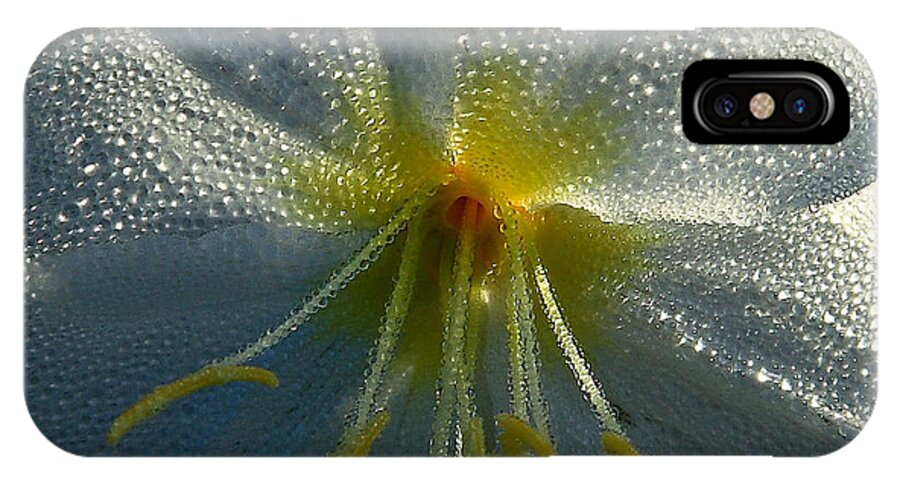 Nature iPhone X Case featuring the photograph Morning Dew by Steven Reed