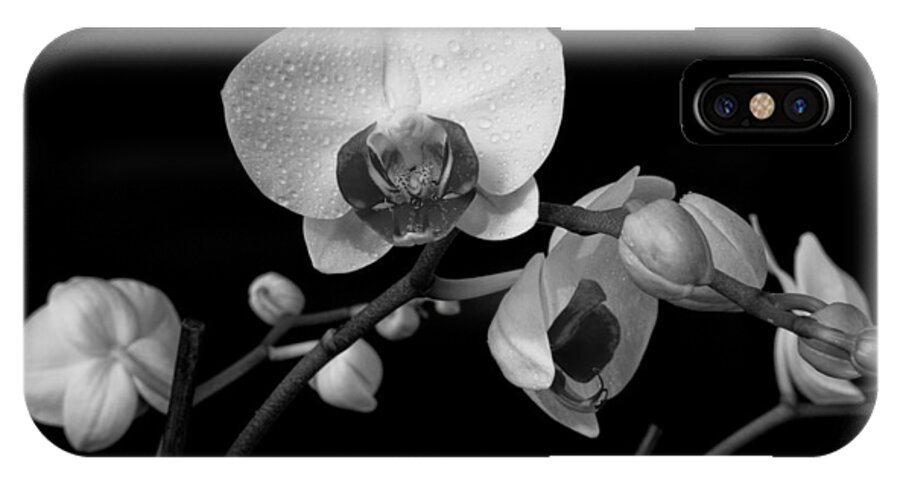 Flower iPhone X Case featuring the photograph Moth Orchids by Ron White