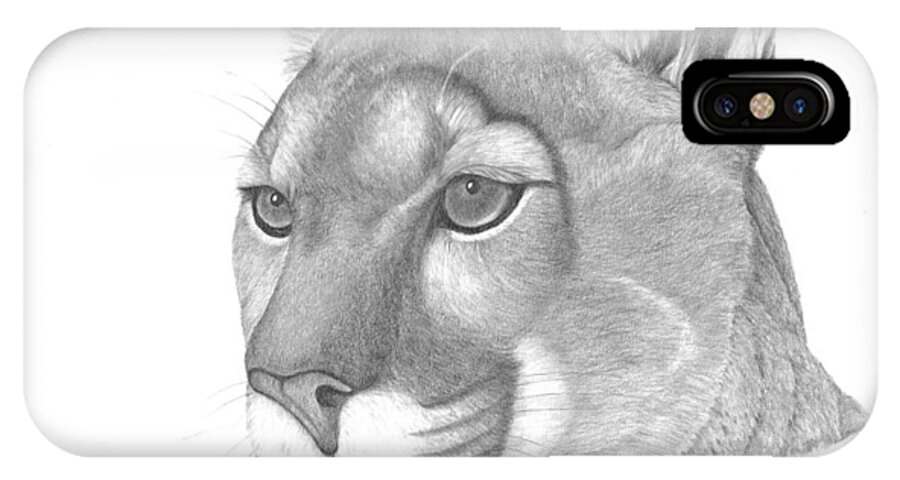 Mountain Lion iPhone X Case featuring the drawing Mountain Lion by Patricia Hiltz