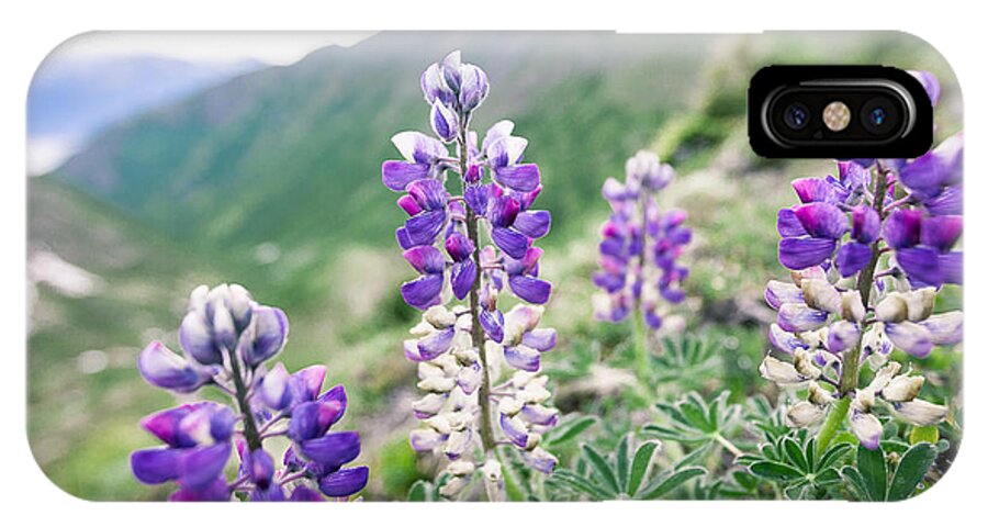 Alaska iPhone X Case featuring the photograph Mountain Lupine by Tim Newton