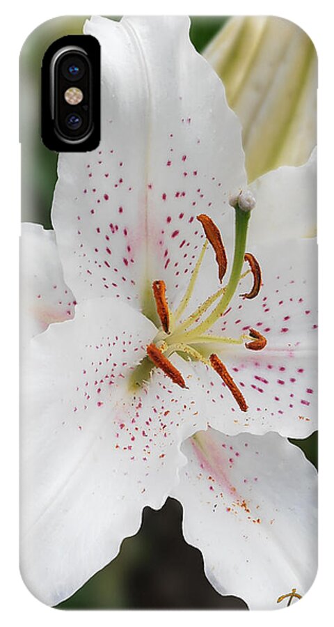 Muscadet Lily By Doug Kreuger iPhone X Case featuring the photograph Muscadet Lily by Doug Kreuger