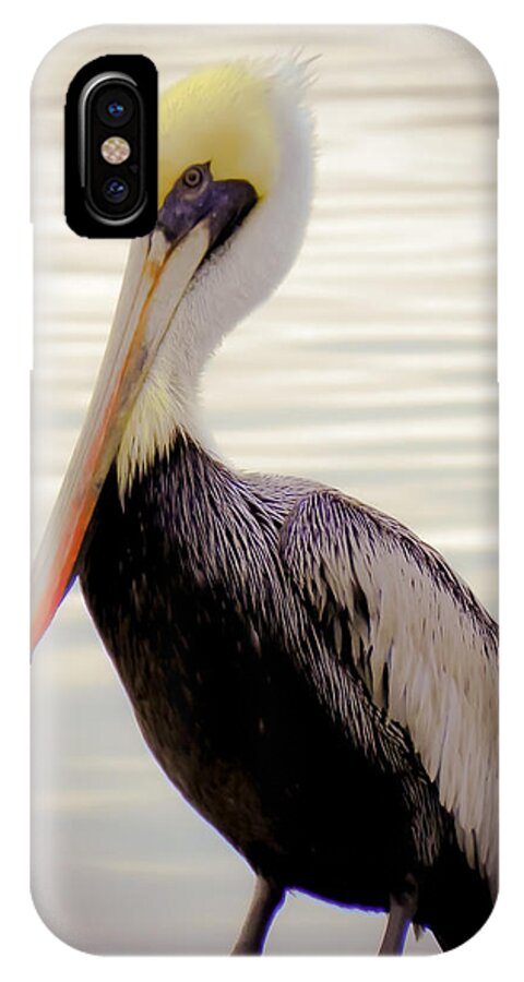 Bird iPhone X Case featuring the photograph My Visitor by Karen Wiles