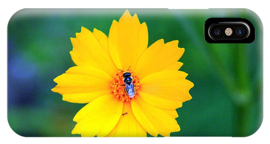 Flower iPhone X Case featuring the photograph My yellow world by Lily K