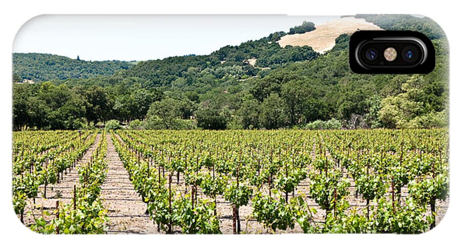 Napa Vineyard iPhone X Case featuring the photograph Napa Vineyard with Hills by Shane Kelly