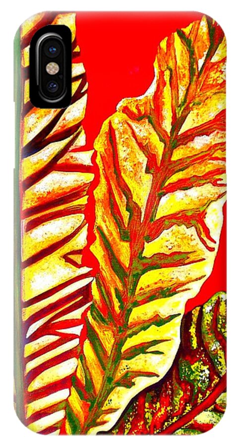 Julie-hoyle iPhone X Case featuring the painting Nature's Gifts by Julie Hoyle