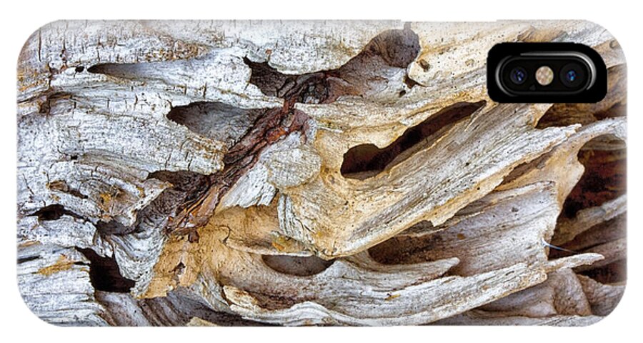 Driftwood iPhone X Case featuring the photograph Nature's Sculpture by Shirley Mitchell