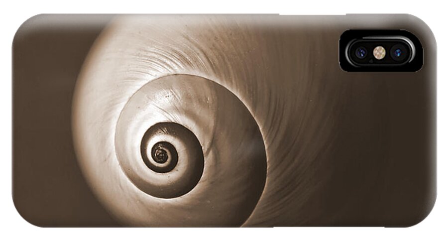 Sea iPhone X Case featuring the photograph Nautilus in Sepia by Deborah Smith