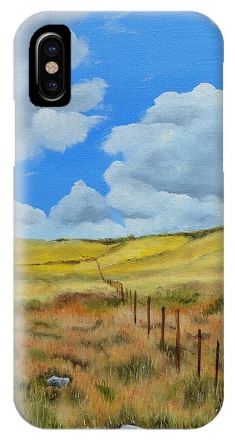 Chama iPhone X Case featuring the painting Near Chama by Mary Rogers