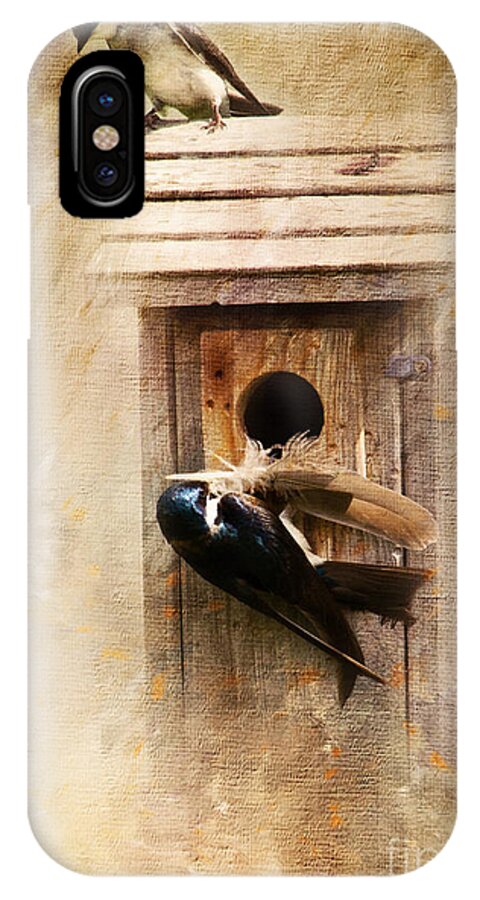 Bird iPhone X Case featuring the photograph Nest Prepping by Pam Holdsworth